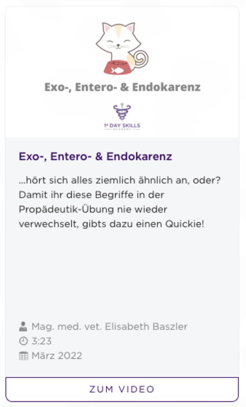 Bildschirmfoto 2022 03 21 um 12 45 49