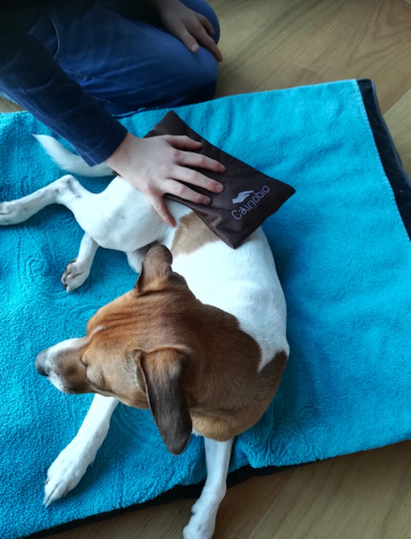 Bildschirmfoto 2022 03 24 um 08 33 40