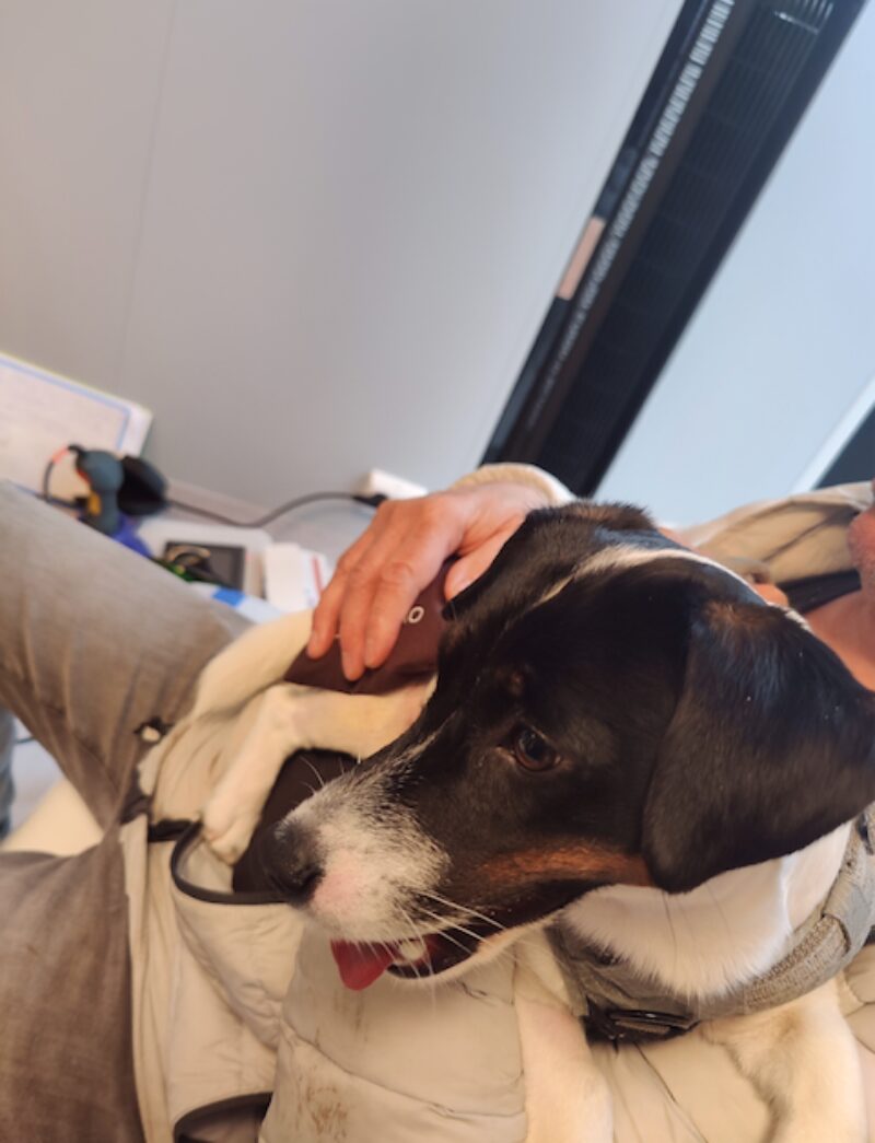 Bildschirmfoto 2022 03 24 um 08 33 25