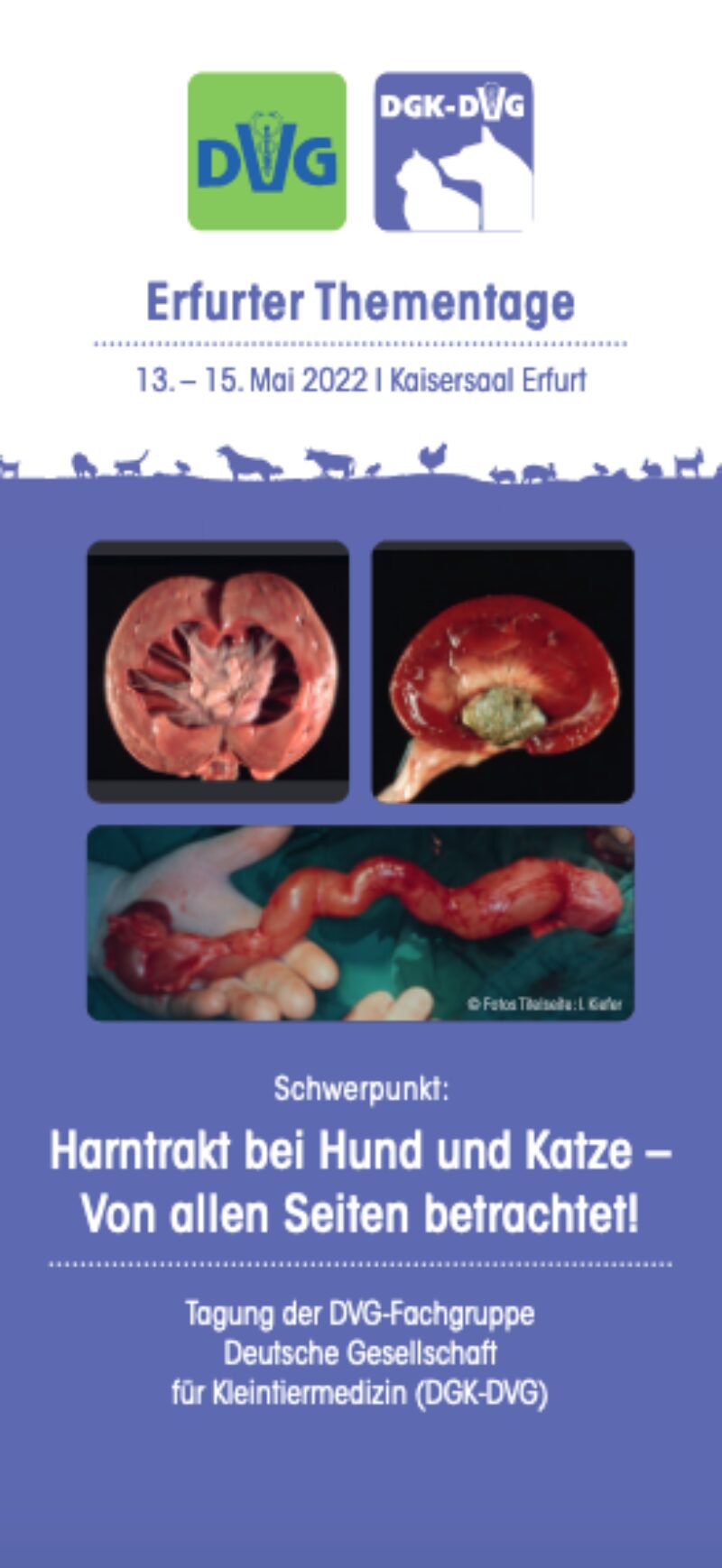 Bildschirmfoto 2022 03 27 um 21 49 45