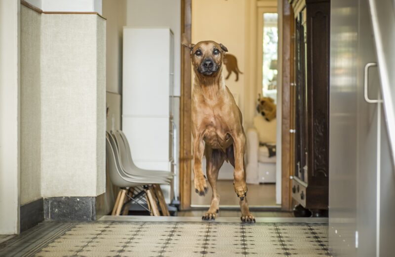 Bildschirmfoto 2022 03 28 um 17 30 58