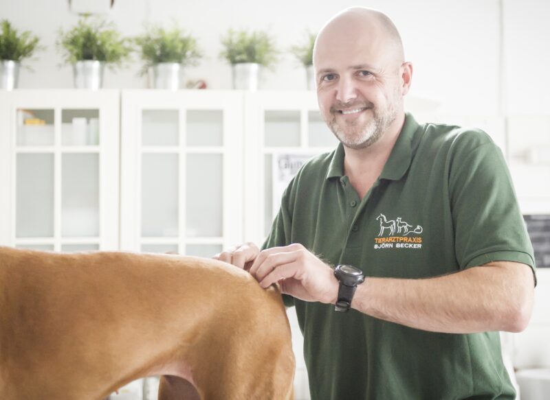 Bildschirmfoto 2022 03 28 um 17 31 40