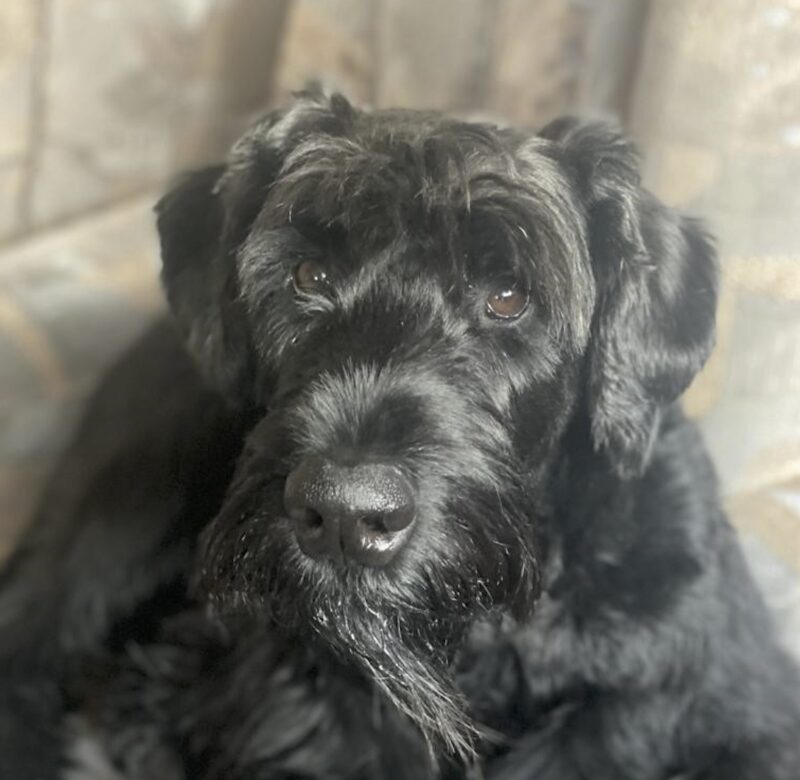 Bildschirmfoto 2022 04 08 um 15 58 51