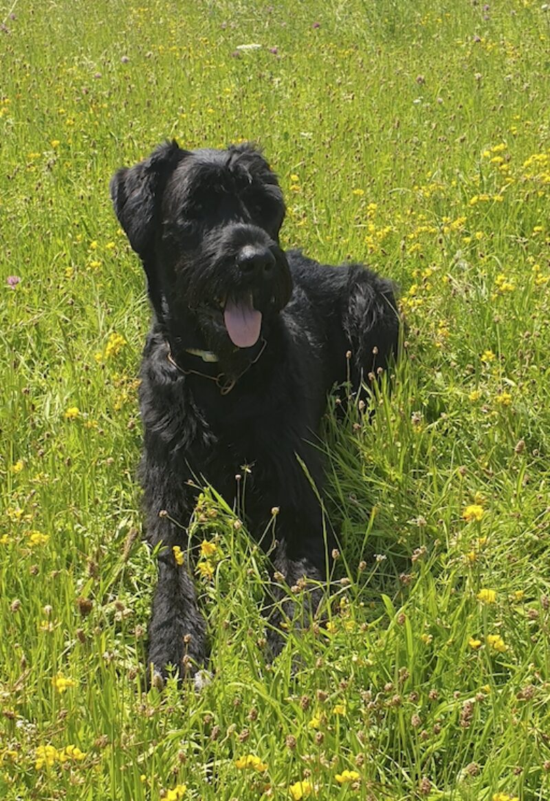 Bildschirmfoto 2022 04 08 um 16 01 03