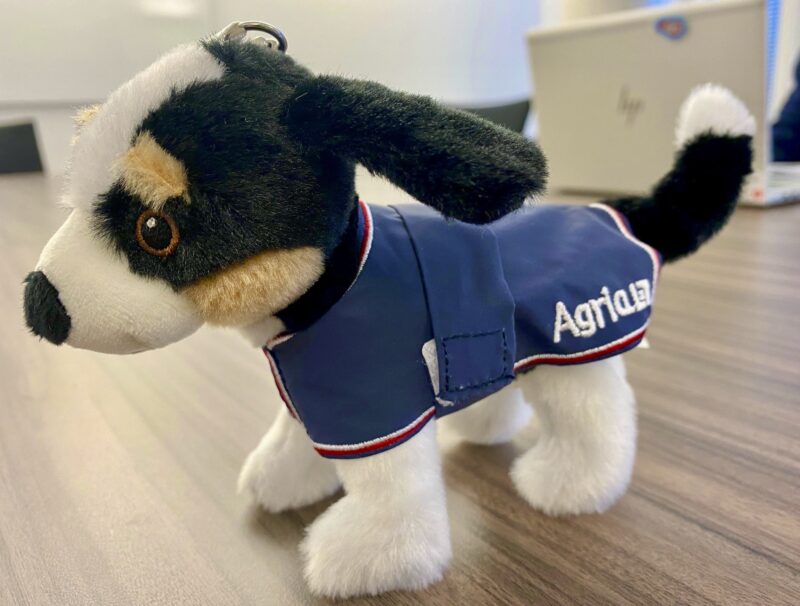 Bildschirmfoto 2022 04 19 um 21 30 36