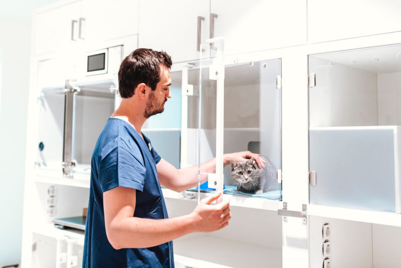 DSC 1623 Bearbeitet 2