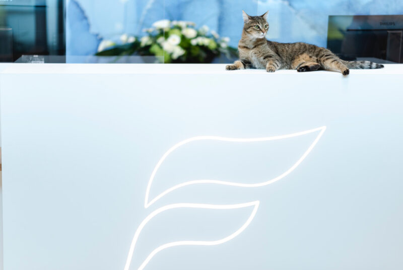 Reportage druck 178 von 365