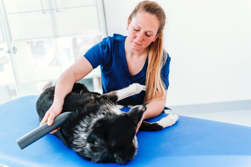 ZDS 5277 Bearbeitet 2