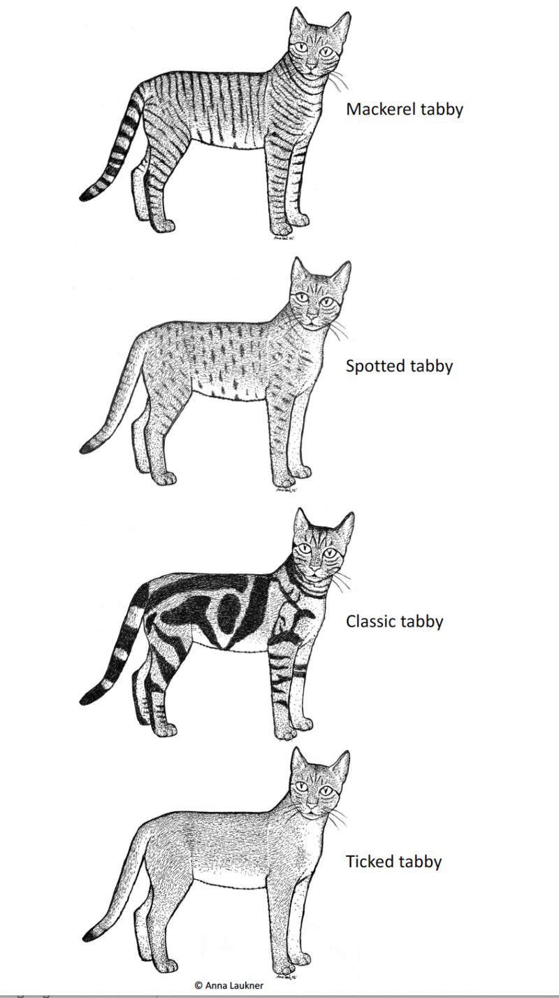 Bildschirmfoto 2022 05 16 um 22 29 33