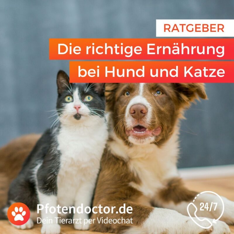 298996209 501397991988165 2559280841784148392 n