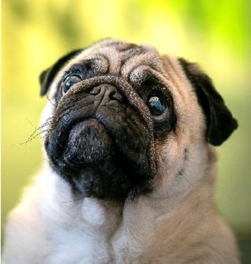 Bildschirmfoto 2022 07 15 um 16 51 31