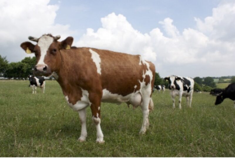 Bildschirmfoto 2022 07 15 um 17 15 21