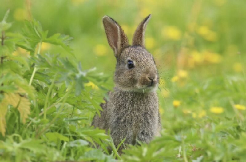 Bildschirmfoto 2022 07 15 um 17 15 36