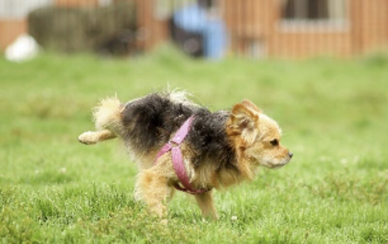 Bildschirmfoto 2022 07 15 um 17 15 43