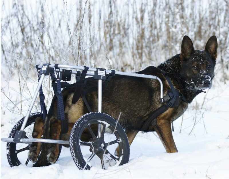 Bildschirmfoto 2022 08 10 um 18 17 16