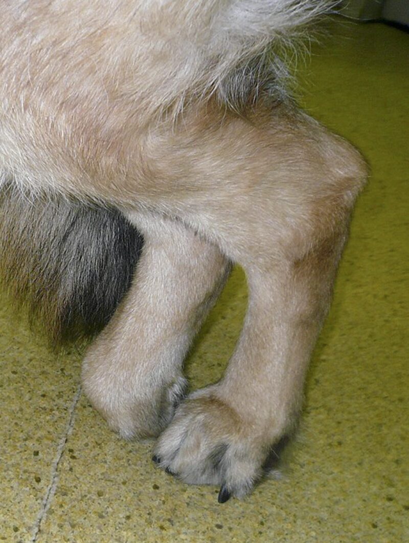 Bildschirmfoto 2022 08 10 um 18 18 06