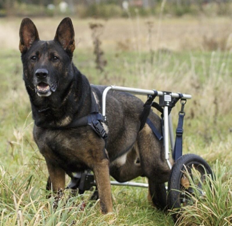 Bildschirmfoto 2022 08 10 um 18 18 58