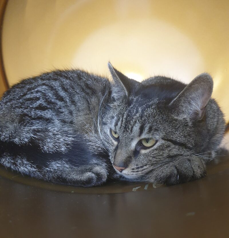 Bildschirmfoto 2022 08 18 um 18 06 36