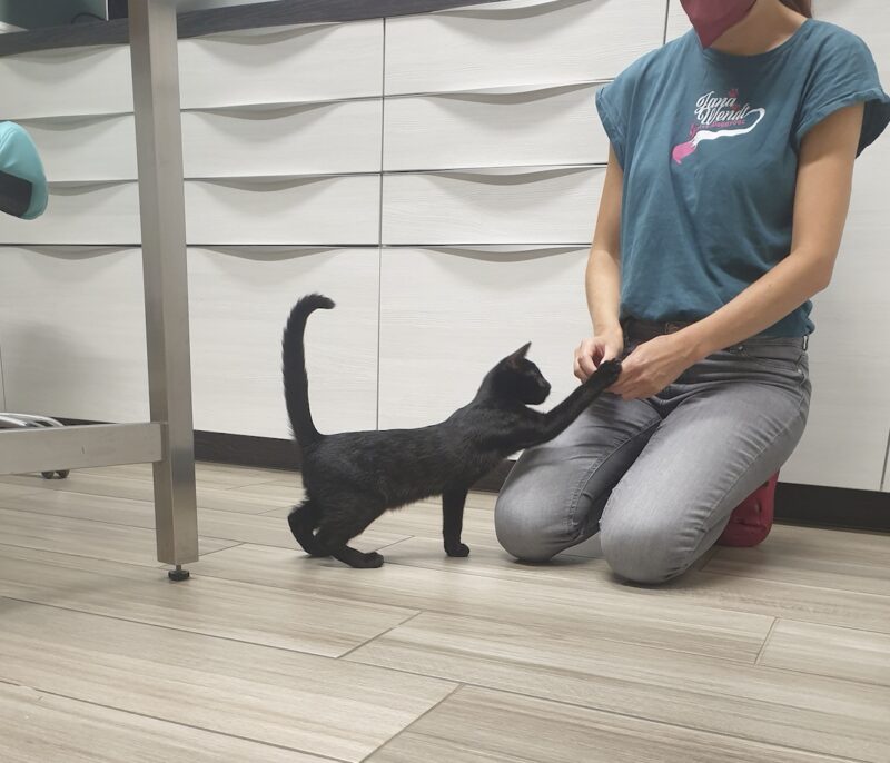 Bildschirmfoto 2022 08 18 um 18 06 47