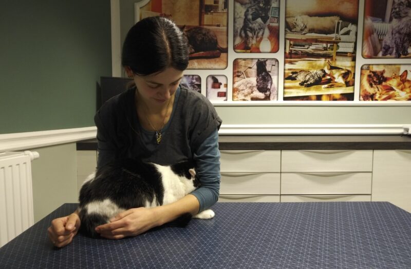 Bildschirmfoto 2022 08 18 um 18 06 57