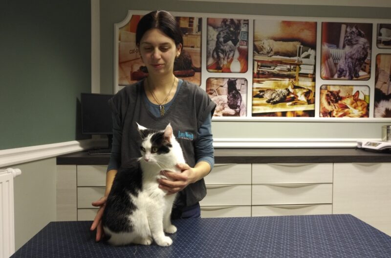 Bildschirmfoto 2022 08 18 um 18 07 08