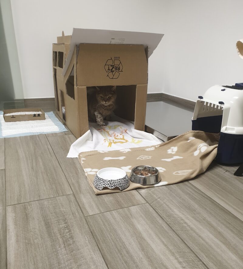 Bildschirmfoto 2022 08 18 um 18 07 29