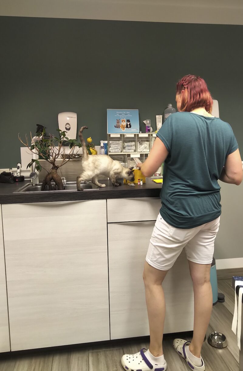 Bildschirmfoto 2022 08 18 um 18 10 45