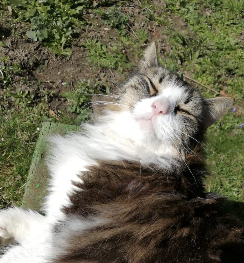 Bildschirmfoto 2022 08 18 um 18 16 41