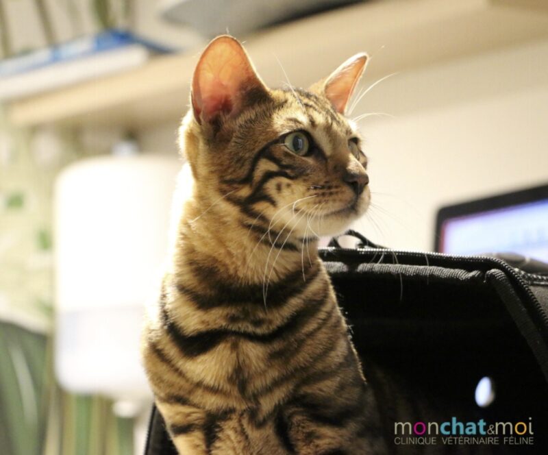 Bildschirmfoto 2022 08 22 um 14 44 52