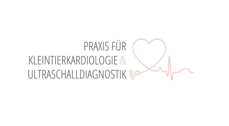 304075570 532875221974036 8042042836652975715 n