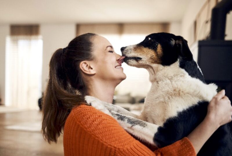 Bildschirmfoto 2022 08 23 um 11 39 03