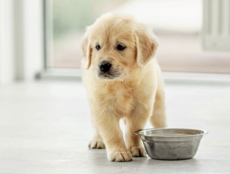 Bildschirmfoto 2022 08 30 um 16 29 58