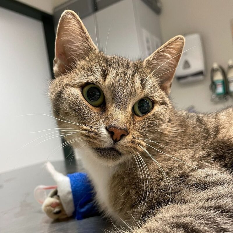 312361659 8173471312722915 5652349071516731332 n