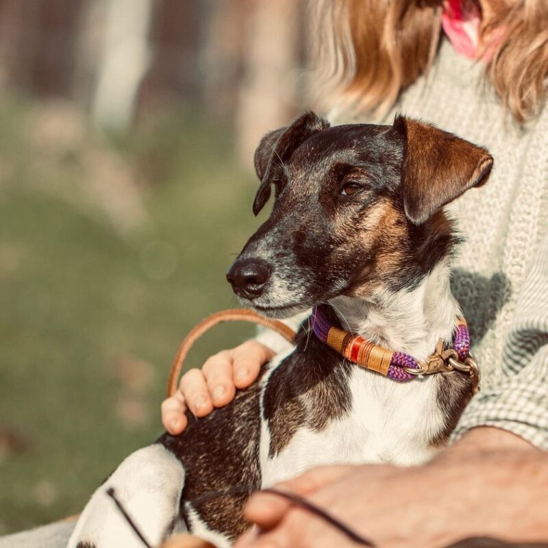 314325809 8218457698224276 1054169840274614318 n