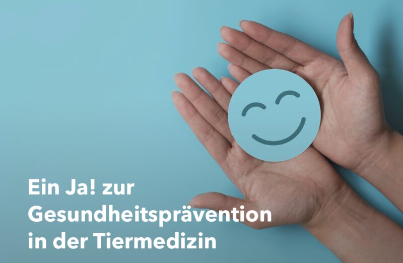 Bildschirmfoto 2022 10 20 um 08 03 28