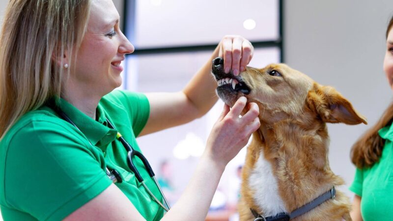 329211284 1122345471769840 4246947044693817209 n