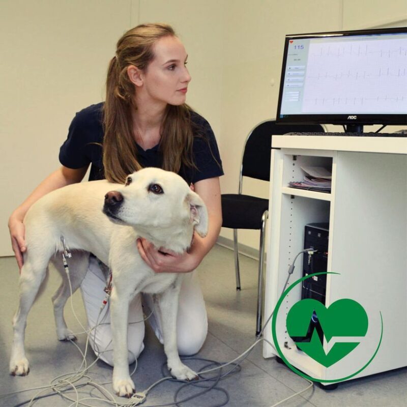 331120494 711755847111134 4908248209012784830 n