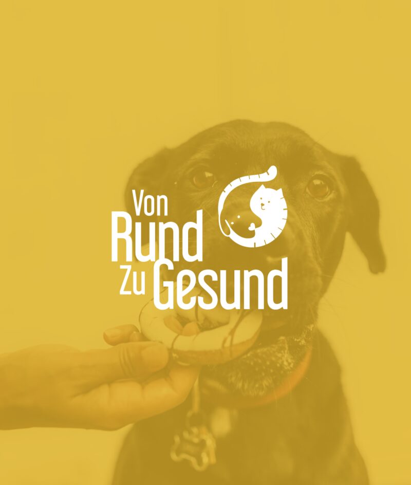 Von rund zu gesund