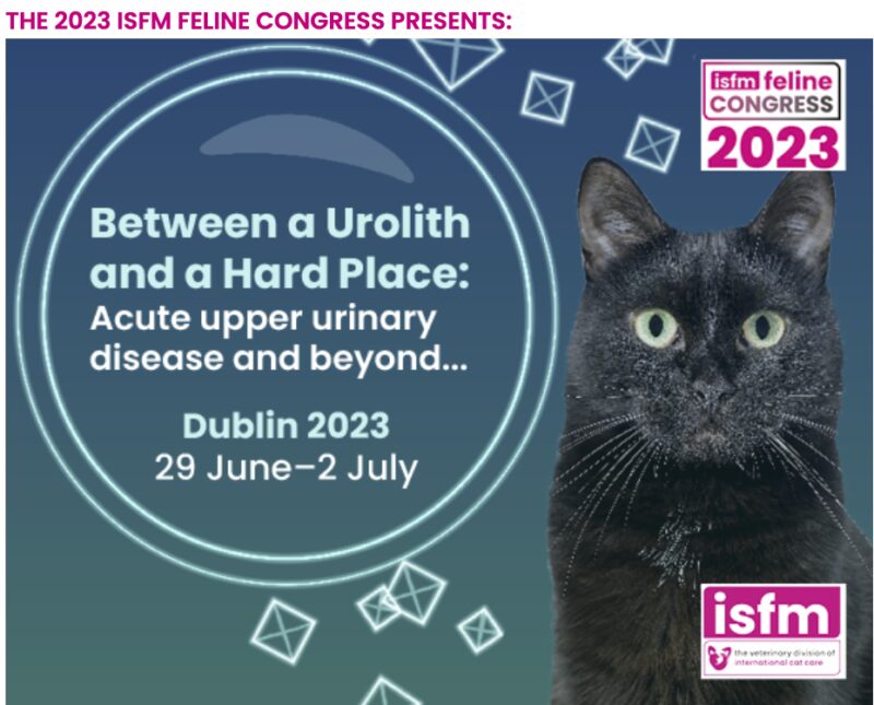 Bildschirmfoto 2023 01 22 um 13 57 43