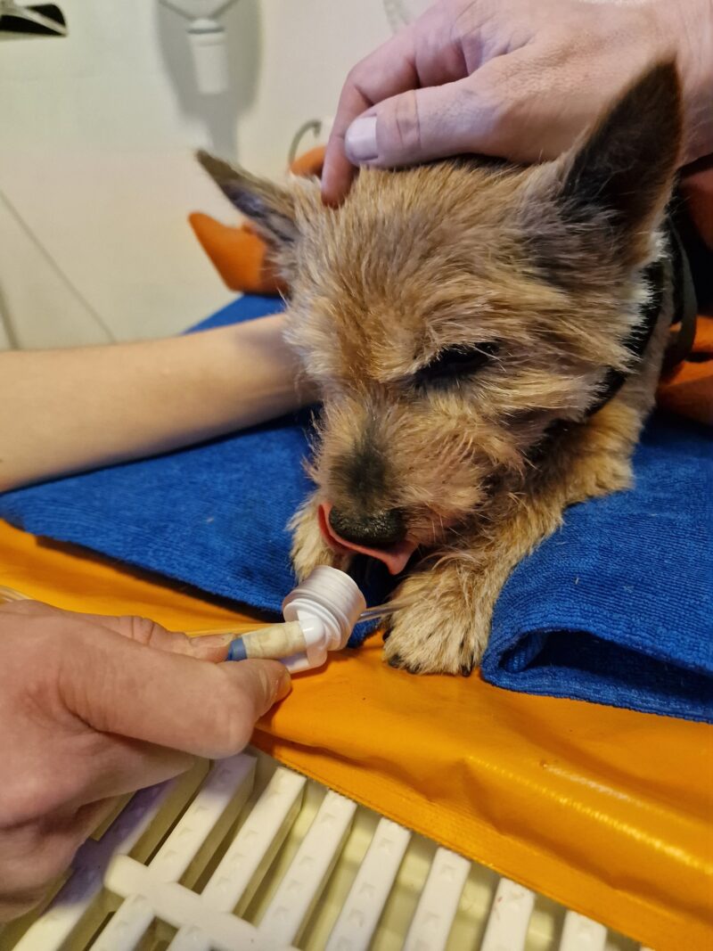 342993348 975460577164346 7728534443020190683 n