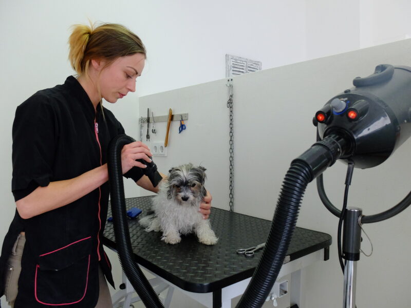 Foehnen-mit-Nathalie