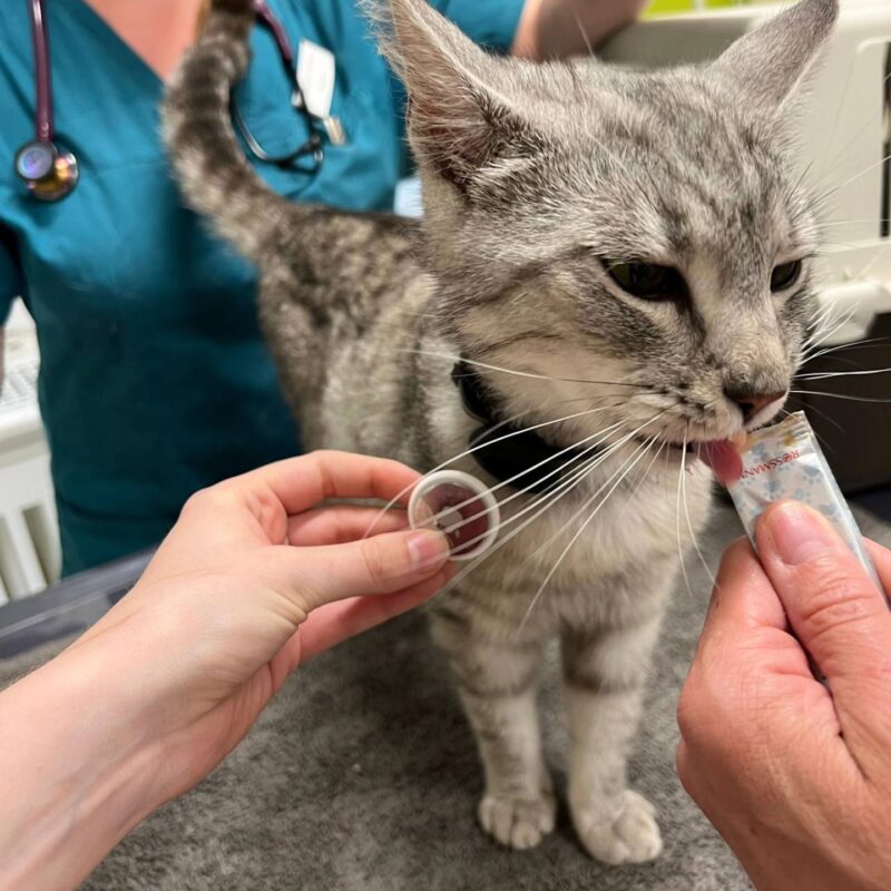 347414280 797603742090577 858995584487611832 n