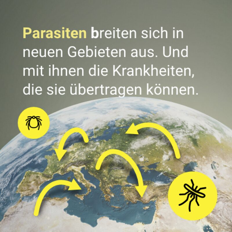 Bildschirmfoto 2023 01 23 um 15 51 45