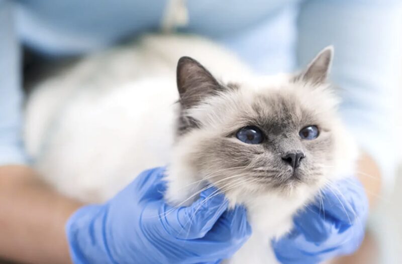 Bildschirmfoto 2023 02 08 um 17 33 01