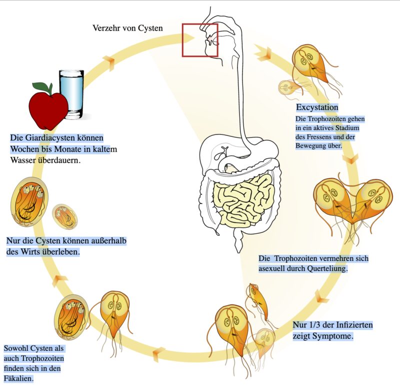 Bildschirmfoto 2023 02 25 um 07 34 23
