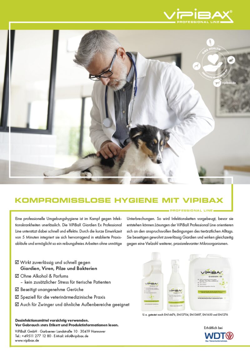 Bildschirmfoto 2023 02 26 um 07 25 12