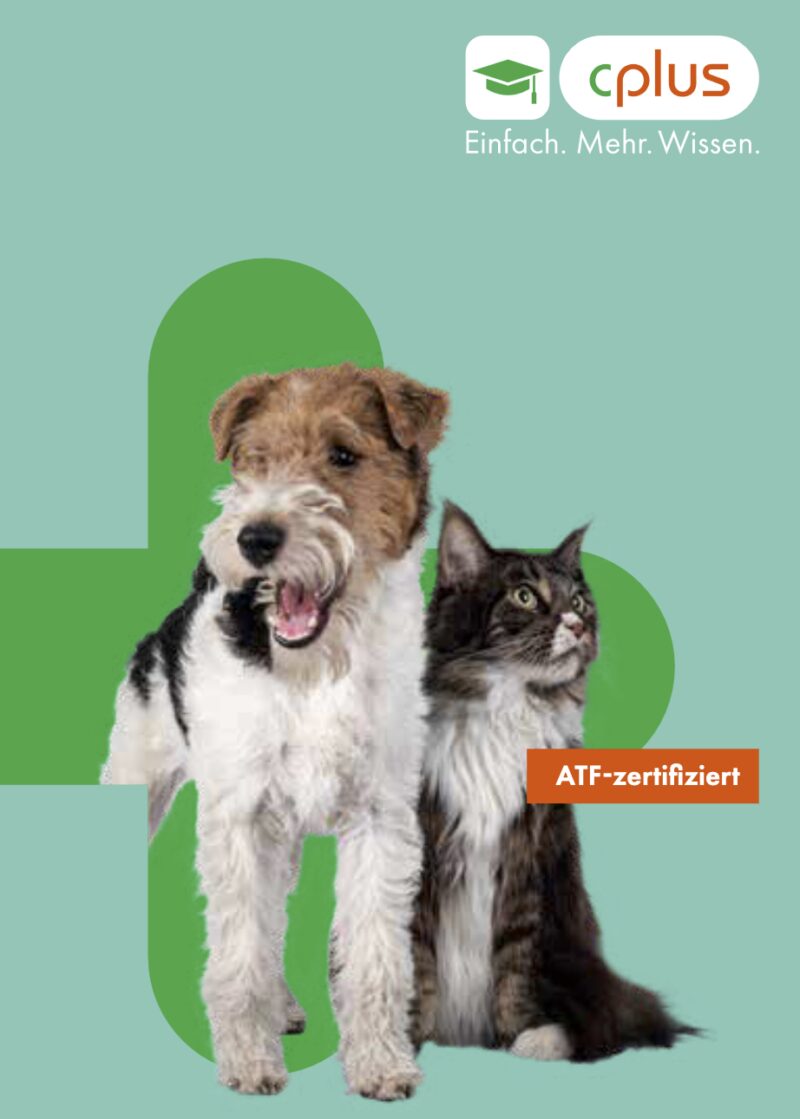 Bildschirmfoto 2023 03 27 um 11 56 00