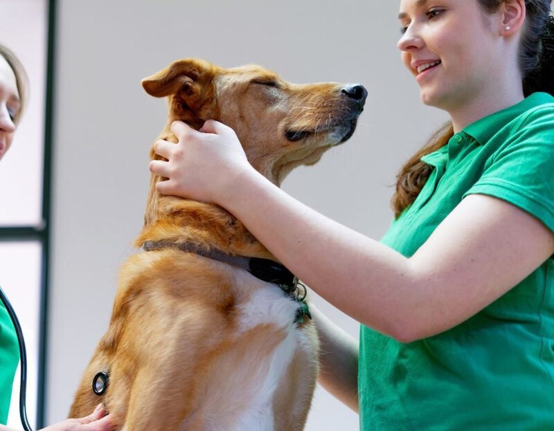 369681955 819591146705914 112227024238675972 n