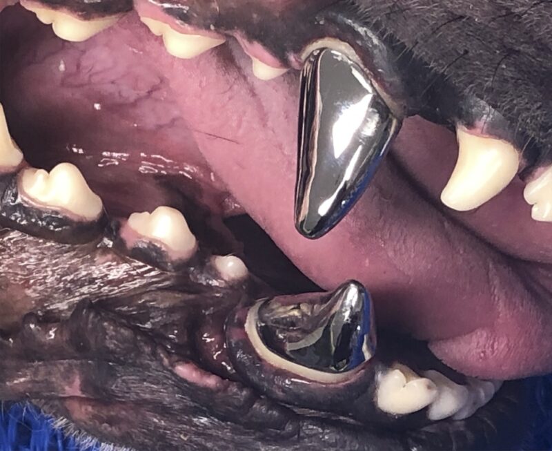 Bildschirmfoto 2023 04 09 um 22 15 31