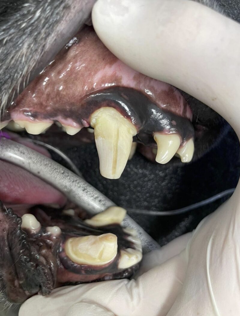 Bildschirmfoto 2023 04 09 um 22 20 07